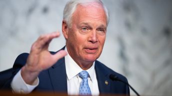 GOP Sen. Ron Johnson Parrots Misinformation That ‘Windmills Are Killing the Whales’