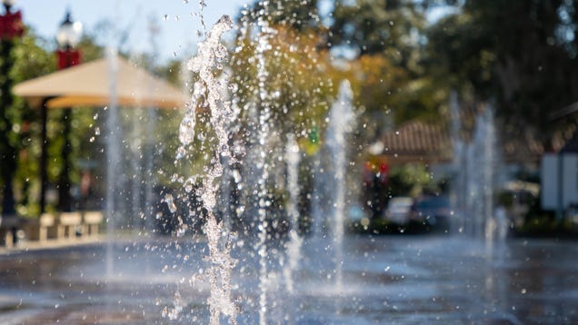 Arkansas Resident Killed by Brain-Eating Amoeba Caught From Splash Pad, Officials Say