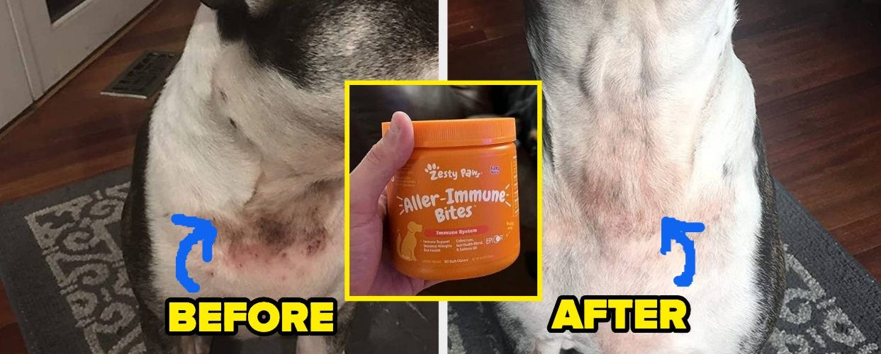 25 Pet Products Reviewers Say Finally Helped After They Tried Everything Else