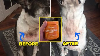 25 Pet Products Reviewers Say Finally Helped After They Tried Everything Else