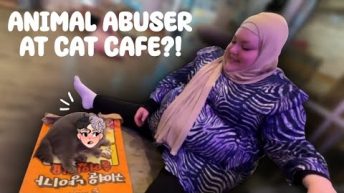 ANIMAL ABUSER AT A CAT CAFE?!