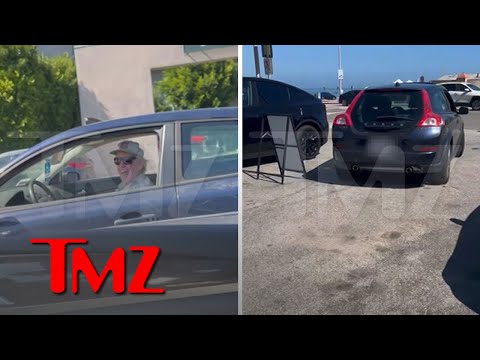 Gary Busey Allegedly Involved In Hit-And-Run, Woman Records Confrontation on Video | TMZ