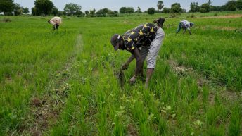 IMF and World Bank are urged to boost funding for African nations facing conflict and climate change