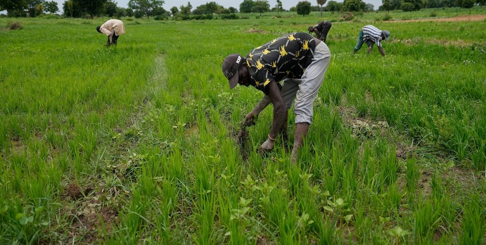 IMF and World Bank are urged to boost funding for African nations facing conflict and climate change