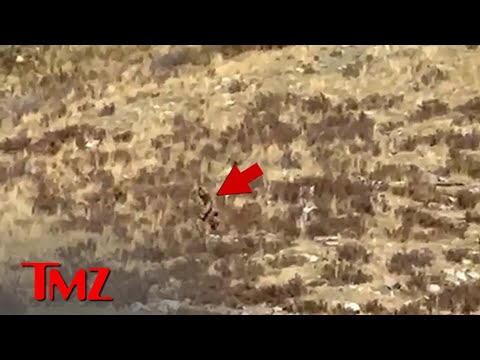 U.S. Forest Service Can’t Say If New Bigfoot Video in Colorado is Real | TMZ TV