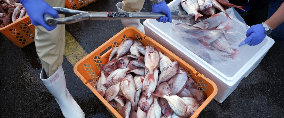 IAEA team gathers marine samples near Fukushima as treated radioactive water is released into sea