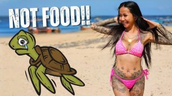 That’s Not Food! Fah Attacks Endangered Species in Bali! @ZoomToThailand Fails on Parasail?