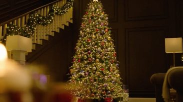 Here’s How to Order Your Christmas Tree Online This Year