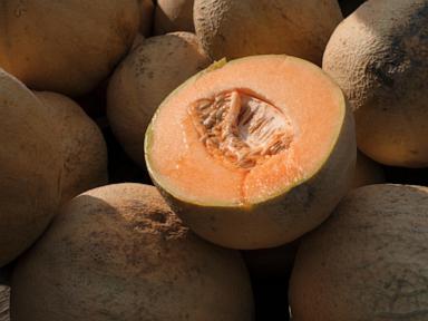 Salmonella in cantaloupes sickens dozens in 15 states, U.S. health officials say