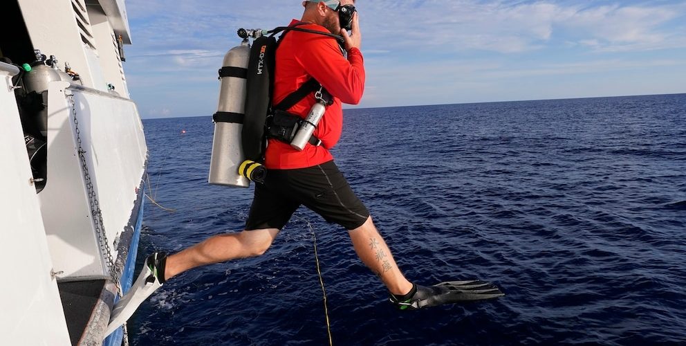 Climate change is hurting coral worldwide. But these reefs off the Texas coast are thriving