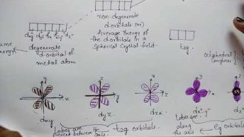 Trick for Crystal field theory (CFT) of Octahedral & Tetrahedral complexes | Coordination Compounds.