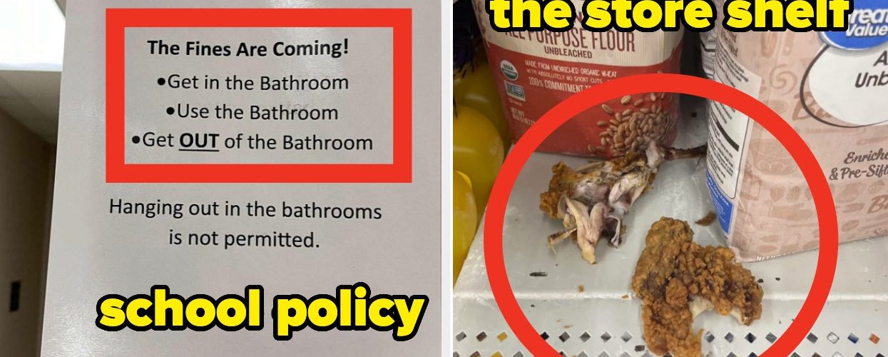 32 Infuriating Pictures That Make My Blood Boil No Matter How Many Times I’ve Seen Them