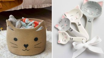 31 Cute And Practical Gifts For Cat Owners