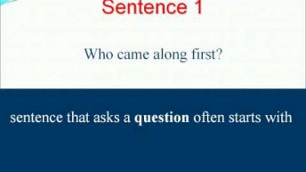 6.1 Sentence Types.avi