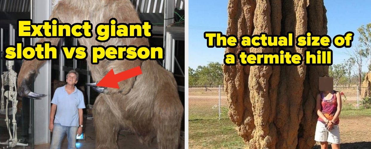 Okay, I’ll Be Honest: Each And Every One Of These 22 Extremely Fascinating Pictures Completely And Totally Blew My Mind Last Week