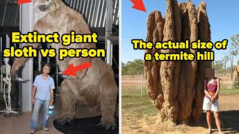 Okay, I’ll Be Honest: Each And Every One Of These 22 Extremely Fascinating Pictures Completely And Totally Blew My Mind Last Week