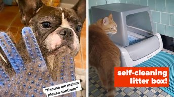 If You’re A Pet Parent, These 31 Products Will Make Your Life So Much Easier