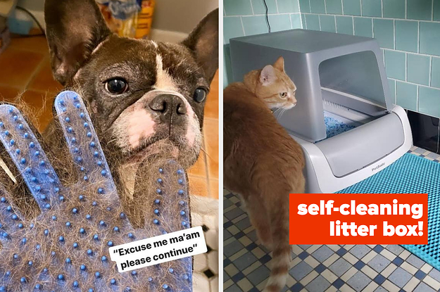 If You’re A Pet Parent, These 31 Products Will Make Your Life So Much Easier