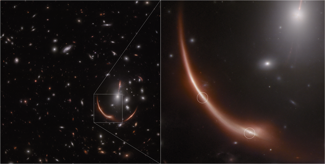 Webb Spots Ancient Supernova in a Gravitational Lens