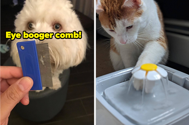 Stop Struggling With Pet-Related Problems And Try These 29 Products