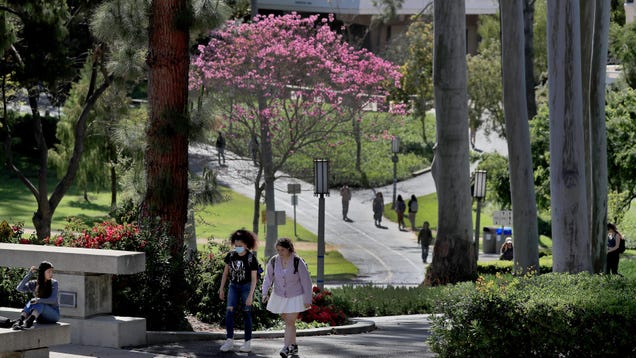 UC Irvine Students Hospitalized After Hackers Sent Disgusting Images to Their Discord Server