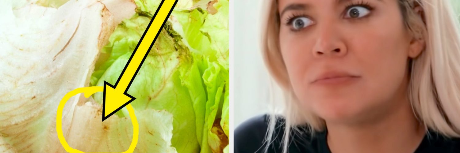 We Asked Experts If It’s Actually Harmful To Eat Lettuce That’s Pink, Slimy, Or Soggy — And The Answer May Surprise You