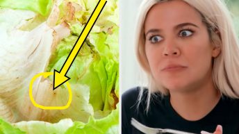 We Asked Experts If It’s Actually Harmful To Eat Lettuce That’s Pink, Slimy, Or Soggy — And The Answer May Surprise You