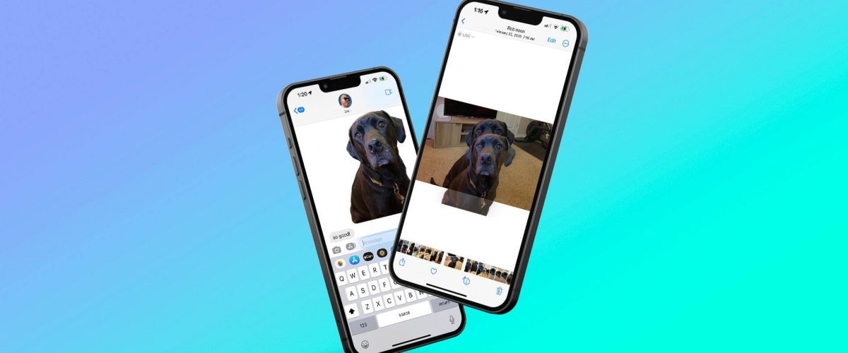 How to instantly remove the background from any image on iOS