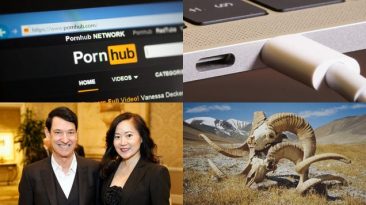 Pornhub Drops Texas, Time to Unplug Your Laptop, Bad Royal Photoshops, Franken-Sheep and More