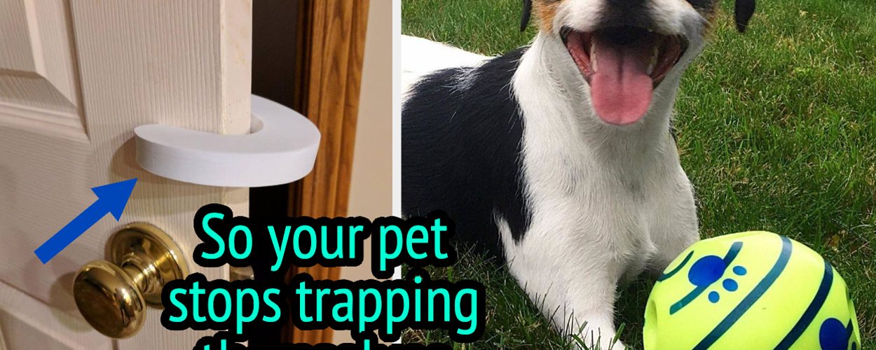 If You’re Feeling The Sting Of A Pricey Vet Visit, Take Comfort In These 29 Cheap Pet Products That’ll Stick Around For A Long Time