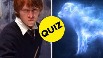 Tell Us About Yourself And We’ll Reveal What Your Harry Potter Patronus Is (And Why)