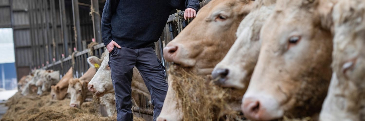 Hard right makes hay with European farmers’ anger ahead of June elections