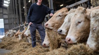 Hard right makes hay with European farmers’ anger ahead of June elections