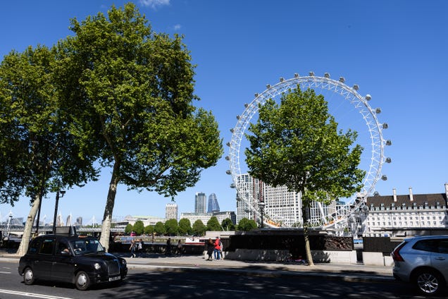 Cities Scramble to Find Trees That Will Survive the Century