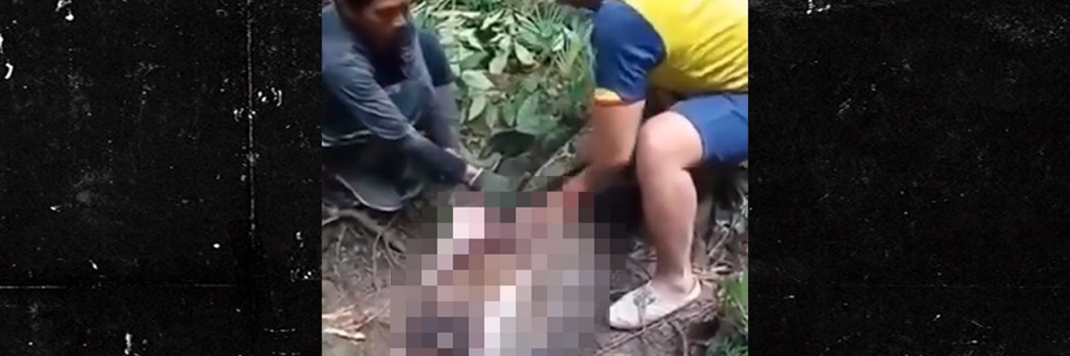 20-Foot Python Swallows a Woman Whole in Indonesian Forest