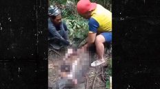 20-Foot Python Swallows a Woman Whole in Indonesian Forest