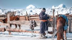 Heavy snows and drought of deadly ‘dzud’ kill more than 7 million head of livestock in Mongolia