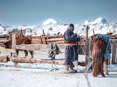 Heavy snows and drought of deadly ‘dzud’ kill more than 7 million head of livestock in Mongolia