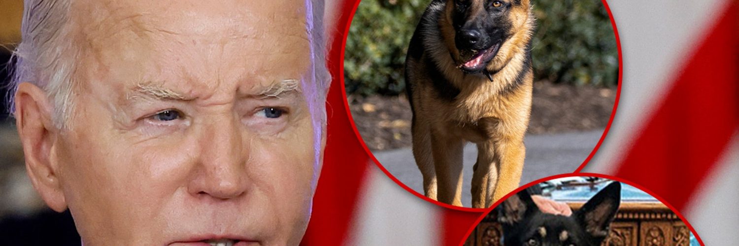 President Biden Present For Multiple Dog Bites On Secret Service Agents