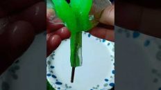 GITAR GREEN JELLY POPSICLES #shortvideo #viralvideo #trending