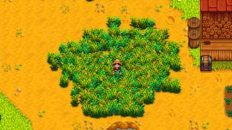 How To Get Hay In Stardew Valley