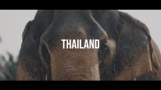 THAILAND |Jackson Averett| Canon 1DXMII and DJI Mavic Pro 2