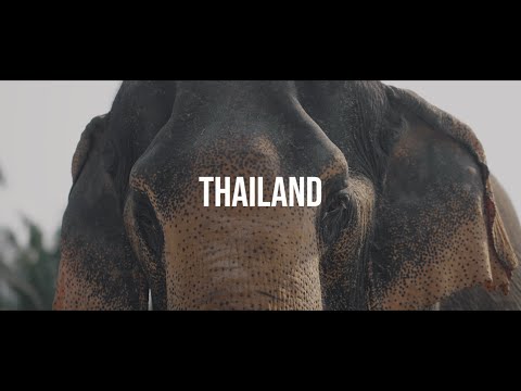 THAILAND |Jackson Averett| Canon 1DXMII and DJI Mavic Pro 2