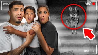 A VICIOUS Coyote Came Into Our Home *security footage*