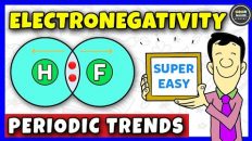 Electronegativity | Periodic Trends | Chemistry