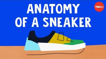 The wildly complex anatomy of a sneaker – Angel Chang