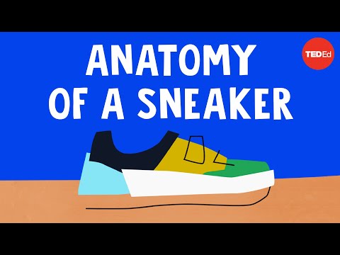 The wildly complex anatomy of a sneaker – Angel Chang