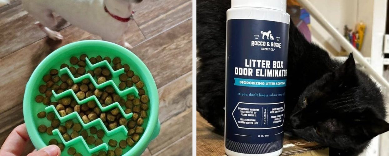 29 Pet Products Under $15 That Are Actually Useful