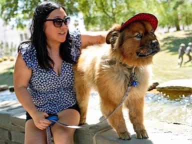 Booties. Indoor dog parks. And following the vet’s orders. How to keep pets cool this summer