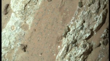 Life-Hunting Perseverance Rover Just Found Its ‘Most Important’ Martian Rock Yet